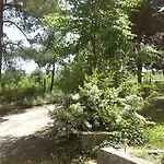 Il Nido Di Alice Nocleg ze śniadaniem 4*