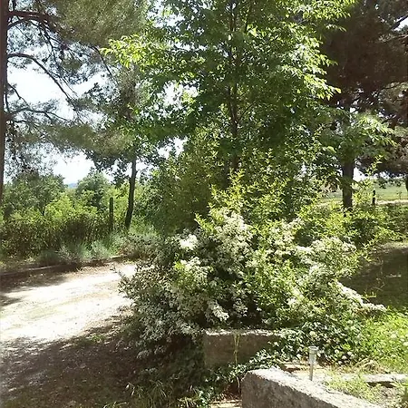 Il Nido Di Alice ベッド・アンド・ブレックファスト 4*