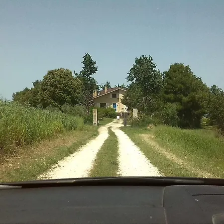 Il Nido Di Alice Bed & Breakfast Moresco