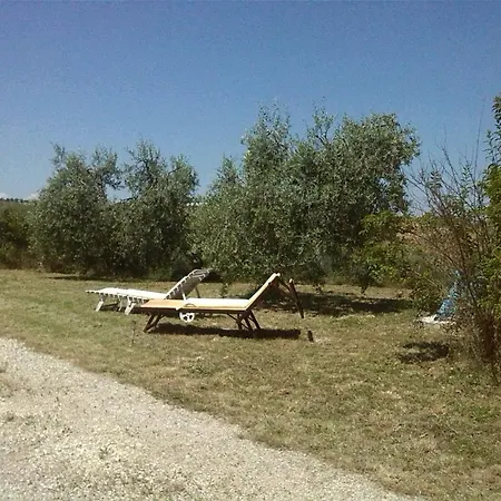 Il Nido Di Alice Moresco