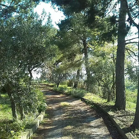 Il Nido Di Alice