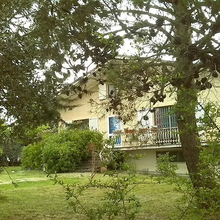 Il Nido Di Alice Bed & Breakfast