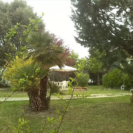 ベッド・アンド・ブレックファスト Il Nido Di Alice